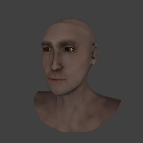 Realistic Lowpoly Head preview image